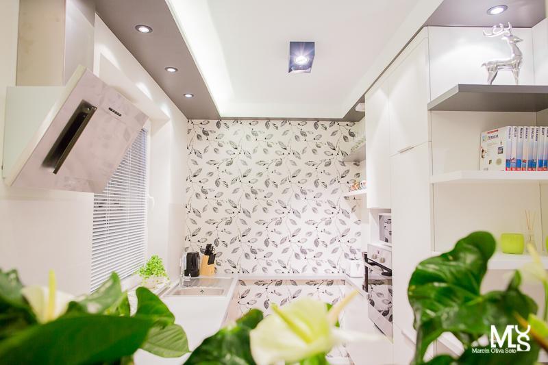 Mojito Apartments - Botanica Breslau Zimmer foto